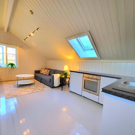 Mercury House, Cathedral View ! Free Parking ! * Trondheim